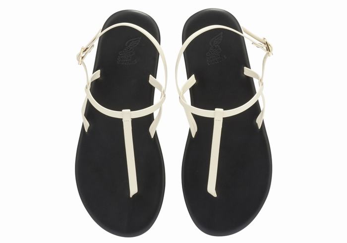 Sandales Bride Arrière Ancient Greek Sandals Lito Flip Flop   | BBG-5239121